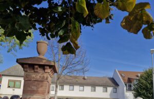 Laubenheim im Wandel der Zeiten Ortsgeschichte >>>Historischer Rundgang führte durch den alten Ortskern