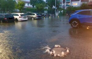 Eder: „Wertschätzung für die Ressource Wasser muss in der Bevölkerung wachsen“ Zukunftsplan Wasser soll Wasserversorgung sichern