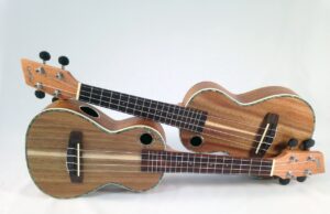 Kursangebot Ukulele Volksbildungswerk Hochheim e.V.