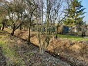 Grüne Anträge scheitern im VG-Rat VG Bodenheim beschließt den Haushalt 2025