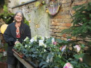 Gonsenheimer Wintermarkt in floraler Umgebung Odile Landragin präsentiert ihr reichhaltiges Sortiment an Winterpflanzen in reizvollem Ambiente