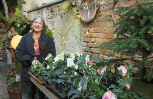 Gonsenheimer Wintermarkt in floraler Umgebung Odile Landragin präsentiert ihr reichhaltiges Sortiment an Winterpflanzen in reizvollem Ambiente