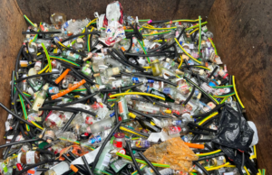Illegale Entsorgung in Glascontainern Städteservice bittet um Unterstützung
