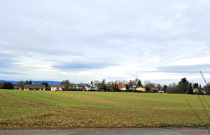 Marienborn muss weiter auf neue Kita und Nahversorger warten Für das Baugebiet fehlt noch immer der Bebauungsplan