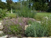 11.000 Blumenzwiebeln, 310 Bäume und diverse Wildblumenwiesen