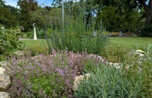 11.000 Blumenzwiebeln, 310 Bäume und diverse Wildblumenwiesen