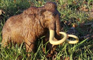 Kinderführung im Stadt- und Industriemuseum Rüsselsheim: „Vom Mammut bis zum Keltenhut“