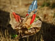 Dreck-Weg-Tage am 8. und 15. März