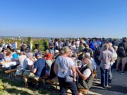 Alles Neue bringt der Frühling Weinwanderung mit Ausblick in Bodenheim