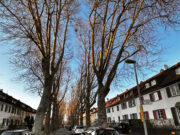 Strafzettel-Flut in Mombach Individualverkehr >>>SPD fordert Augenmaß beim Parkraummanagement