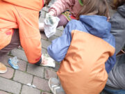 Glänzende Stolpersteine – wache Erinnerung Paten reinigten Stolpersteine in Niersteiner