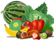 Vortrag zum Thema Ernährung im Haus der Senioren