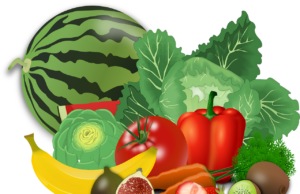 Vortrag zum Thema Ernährung im Haus der Senioren