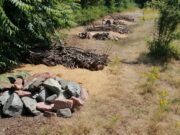 Neue Reptilienhabitate im Baugebiet „Eselwiese“