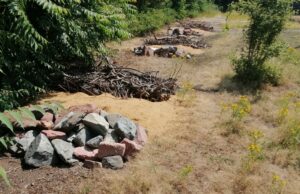 Neue Reptilienhabitate im Baugebiet „Eselwiese“