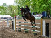 Sportliche Erfolge im Gonsenheimer Wald Turnier des Reit- und Fahrvereins Mainz-Gonsenheim eröffnete die grüne Saison