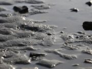 Solarflöße auf der Horlache als Vorboten für Entschlammung