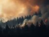 Waldbrandgefahr steigt auf Stufe „sehr hoch“