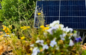 Budenheimer Haushalt und kommunale Wärmeplanung Gemeinderat >>>Bürgerinformationsveranstaltung Ende Mai geplant