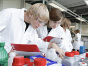 Von Bubble Tea bis Nanogold Chemie erleben im NaT-Lab der Universität Mainz