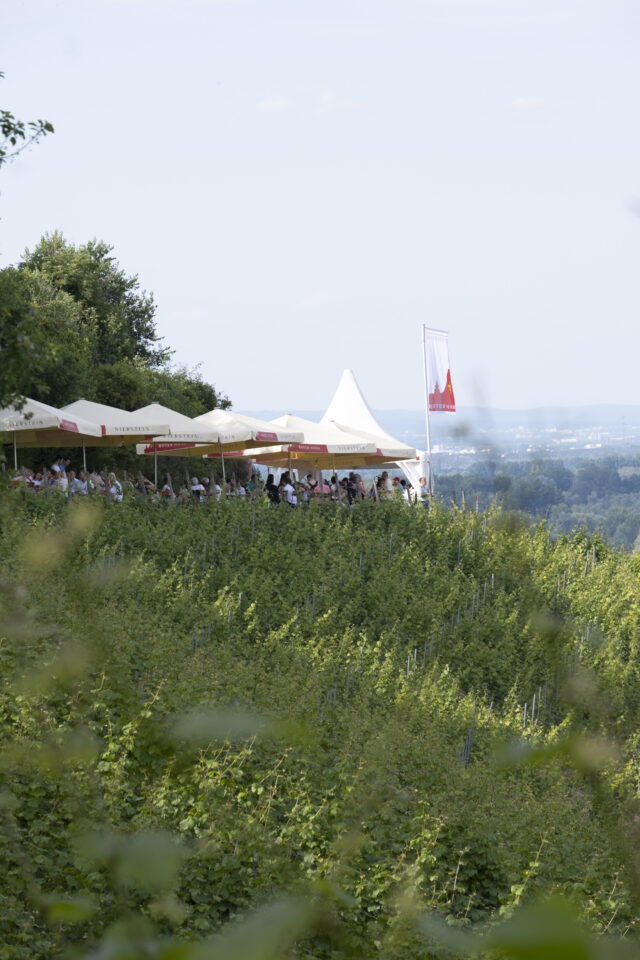 Nierstein_Weinpraesentation