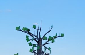 TG Kastel wandert die Rieslingschleife „Flörsheimer Schweiz“