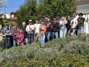 Elsheimer Dorfplatz in Eigenleistung gepflegt Gemeinderatsmitglieder engagierten sich mit Familien für die Gemeinde