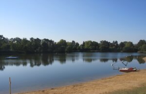 Gewässeruntersuchungen im Waldschwimmbad