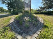 Grünpate für Blumen-Wappen am Ortseingang Bauschheim gesucht