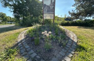 Grünpate für Blumen-Wappen am Ortseingang Bauschheim gesucht