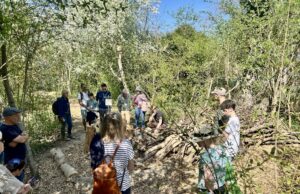 Ein offener Himmel für Wildbienen Warum der Grillplatz in Bodenheim nicht überdacht werden sollte