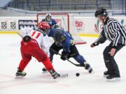 Saisonüberblick des EC Bad Nauheim : Leistungen und Herausforderungen in der DEL-Eishockey Bundesliga