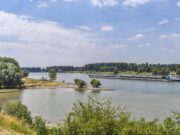 Wasser kommt, Wasser geht Kreis und Geo-Naturpark bieten Führung auf dem Kühkopf