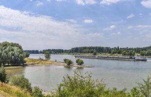 Wasser kommt, Wasser geht Kreis und Geo-Naturpark bieten Führung auf dem Kühkopf