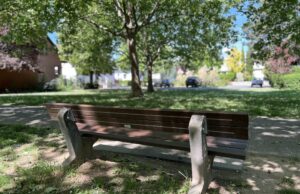 Wackelig, wild und wunderbar: Kinder-Show auf der Klinker-Wiese