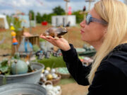 Über die Spitzmausallee bis Zauberschmiede Ingelheim blühte bei GardenING auf