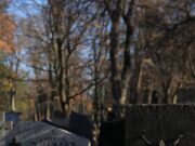 Erneut erfolgreiche interkommunale Zusammenarbeit bei der Friedhofsverwaltung