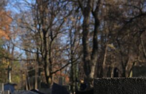 Erneut erfolgreiche interkommunale Zusammenarbeit bei der Friedhofsverwaltung