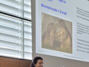 Sommertreffen der TagesKids Vortrag: Kontextsensitivität in der Kindertagespflege