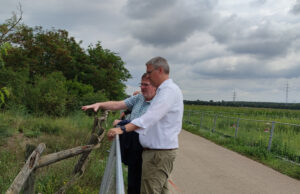 Neuer Lebensraum für Zauneidechsen Stadt erweitert Sanddünen-Fläche