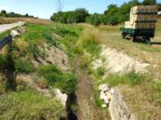 Renaturierung des Aubachs ist abgeschlossen Natur >>>Naturnahe Bepflanzung fördert Artenvielfalt und bietet Schutz vor Überschwemmungen