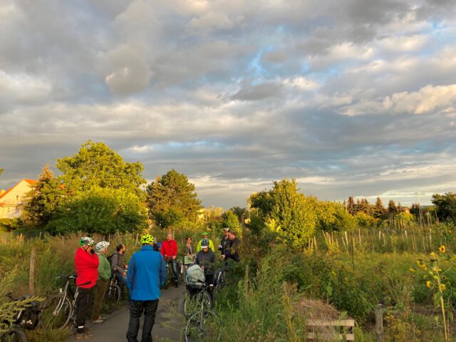 Mainz. Radtour