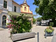 Grüne Oasen mitten in der Stadt MOBILE GÄRTEN >>>Aufenthaltsqualität, Hitzeschutz und Biodiversität