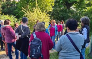 Sommerabend im Mathildengarten Ein Streifzug durch den Garten, der Geschichten erzählt