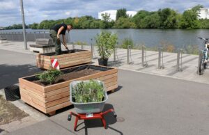 Fünf Hochbeete am Mainufer steuern das Miteinander von Fuß- und Radverkehr