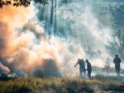 Waldbrand-Warnstufe 3: Schließung der Waldgrillplätze