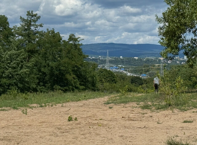 Die Meinungen zur EU- Entscheidung über den Ausbaustopp der A 643 durch das Gebiet Mainzer Sand unterscheiden sich im Detail: Sie wird wie eine faktische Absage, aber auch nur als Teilerfolg gewertet. Foto: Gregor Starosczyk-Gerlach