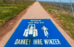 Beginn der Weinbergshut 2025 Maßnahmen zum Schutz der Weinberge starten im August