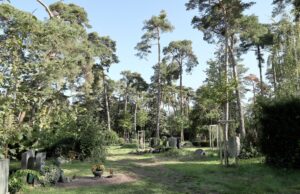 Zum Tag des Friedhofs: Spaziergang über den Rüsselsheimer Waldfriedhof
