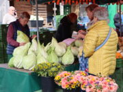 25. Kreisbauernmarkt in Groß-Gerau Jubiläum am Erntedank-Sonntag